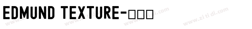 Edmund Texture字体转换